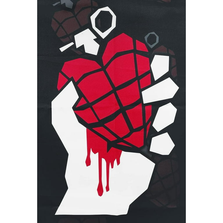 Green Day American Idiot Textile Poster Flag - Walmart.com