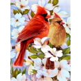 thumbnail image 1 of Parrot Animal Rhinestone Kit 5D Full Square Round Diamond Embroidery Bird Mosaic Flower Handmade Gift, 30*40cm, Frame not included.,5834, 1 of 5