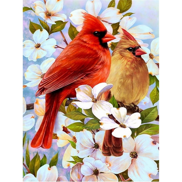 Parrot Animal Rhinestone Kit 5D Full Square Round Diamond Embroidery Bird Mosaic Flower Handmade Gift, 30*40cm, Frame not included.,5834