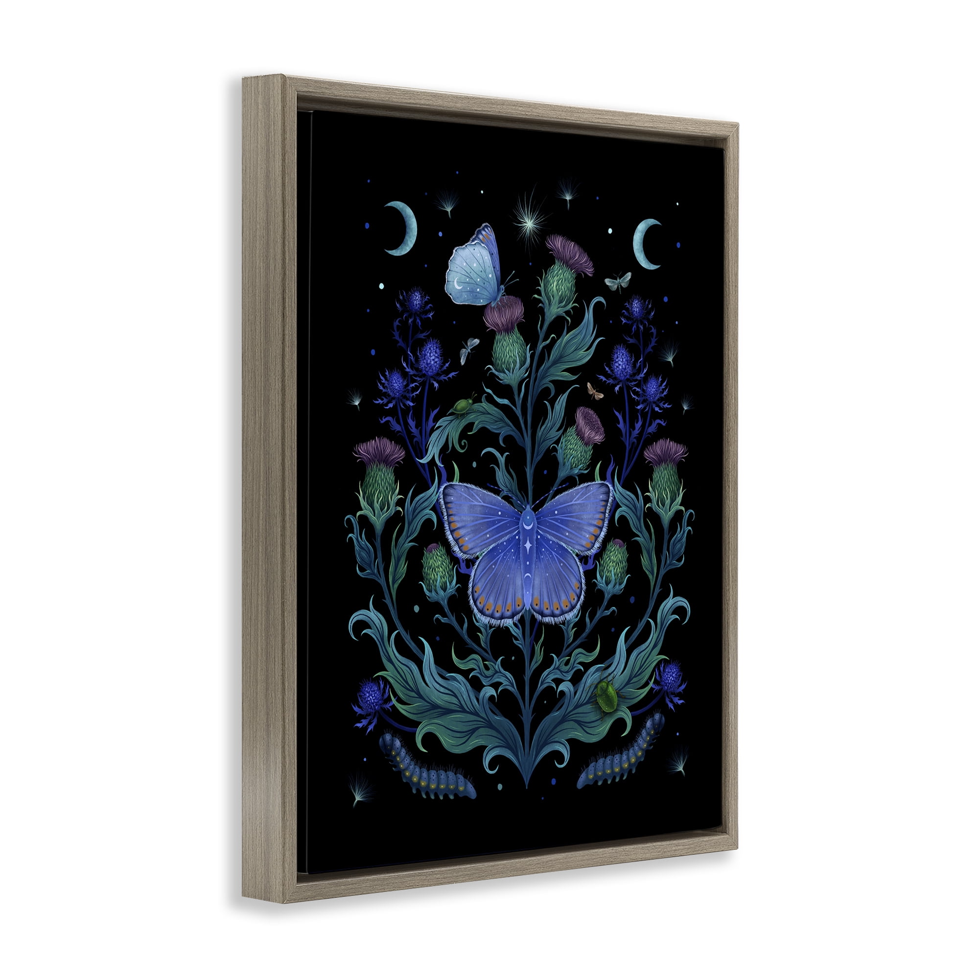Stupell Industries Thistles & Insects at Night Brown Framed Floater Canvas Wall Art, design by Episodic Drawings