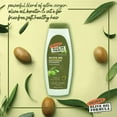 thumbnail image 4 of Palmer's Olive Oil Formula with Vitamin E, Smoothing Shampoo 13.50 oz (Pack of 4), 4 of 7
