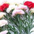 thumbnail image 2 of 8Inch 5Heads Carnation Long Stems Fake Flower Never Fade Artificial Flowers Apply ToWedding Party Home Office Restaurant Table Centerpieces (Red), 2 of 5