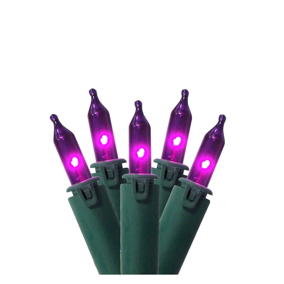 Northlight 100ct Mini String Lights Purple - 46' Green Wire