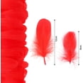 thumbnail image 2 of 600PCS Red Feathers, 3-4.7 inch Feathers Bulk for DIY Crafts Wedding Halloween Costume Party Decorations Dream Catcher Supplies, 2 of 7