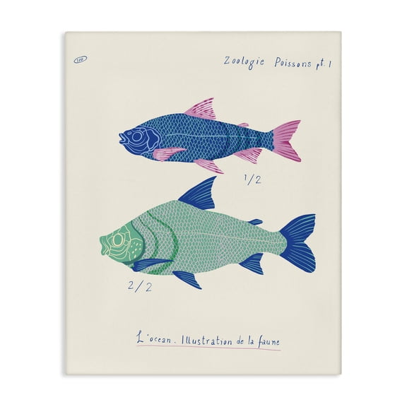 Stupell Industries Contemporary Sea Fauna Studies Canvas Art, 16 x 20, by Marina Astudillo