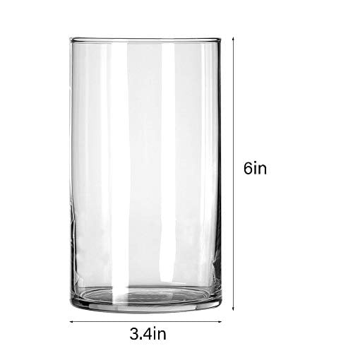 Details about   12 Pack Clear Glass Cylinder Vasestable Flowers Vase Wedding Decrations New 6" 