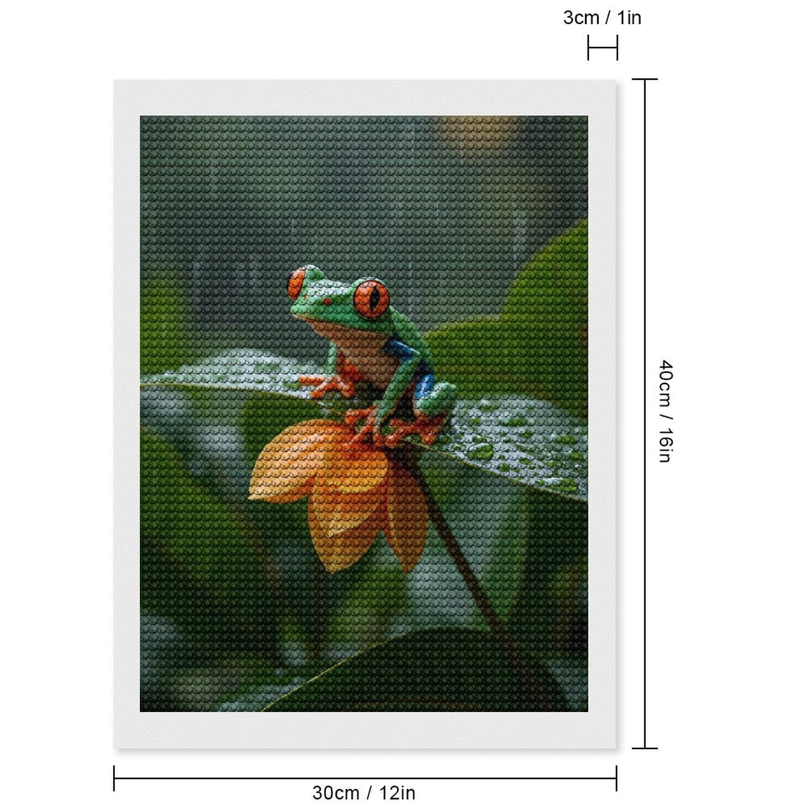 Diamond Art Kits for Adults, Tree Frog On Leaf In Rain 5D Diamond Painting Kits for Adults Beginners, DIY Full Drill Diamond Painting, Gem Art and Crafts 12x16
