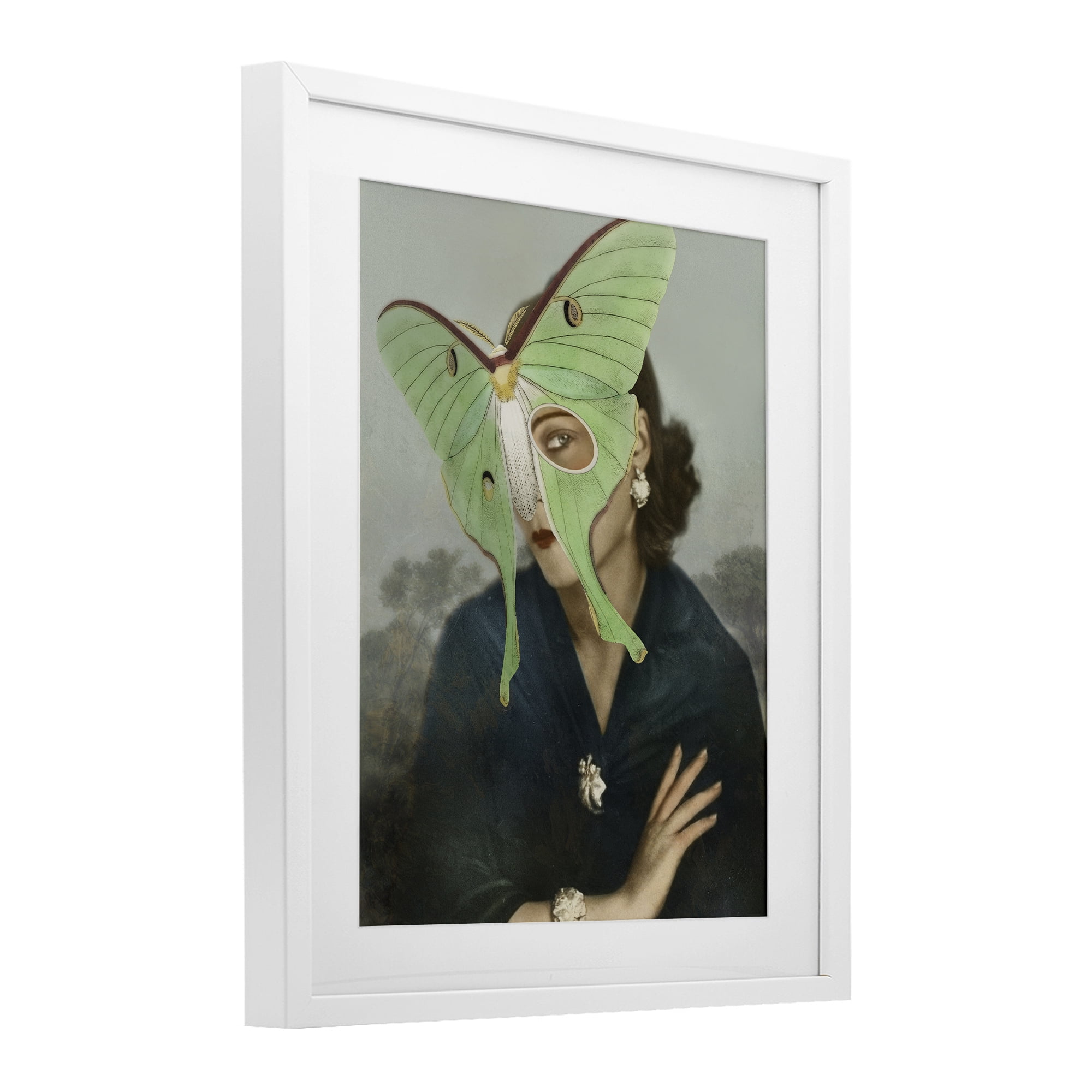 Stupell Industries Naturalist Portrait with Moth White Framed Print Under Glass, design by Victoria Barnes