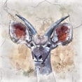 thumbnail image 2 of Bolokofsky, Ronald 26x26 Black Ornate Wood Framed with Double Matting Museum Art Print Titled - Young Kudu, 2 of 4