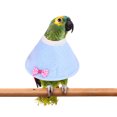 thumbnail image 3 of Cône Collier pour Perroquet Anti-Morsure à Nœud Réglable en Forme pour Animal, Collier de Récupération pour Oiseau, 3 of 10