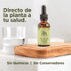 thumbnail image 2 of Aceite de orégano ORE orgánico silvestre 30 ml gotero | suplemento natural inmunológico digestivo antimicrobiano, 2 of 4
