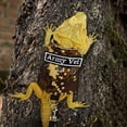 thumbnail image 3 of Bearded Dragon Leash with Harness Reptiles Traction Rope Outdoor Walking Training Harness Leash for Reptiles Guinea Pig Lizards, 3 of 8