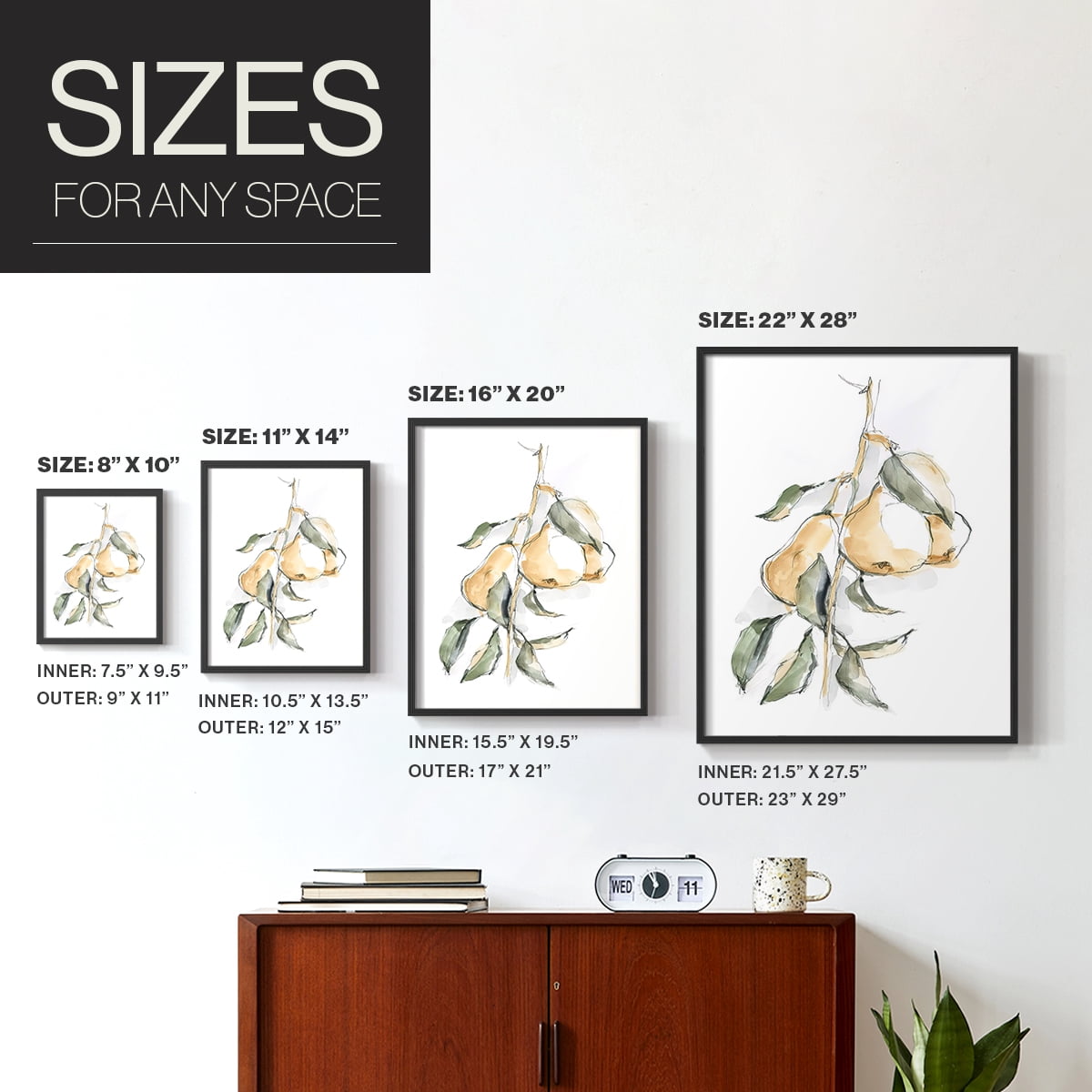 Watercolor Fruit Contour I Framed Print in Black Solid Wood 22 x 28 Framed Print