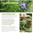 thumbnail image 4 of Healing Solutions 10ml Oils - Rosemary Essential Oil - 0.33 Fluid Ounces, 4 of 7