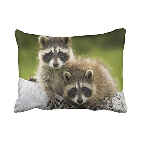WinHome Decorative Pretty Raccoon Gift Throw Soft Pillowcases Decorative Best Birthday Gift Pillowcase Art Design Pillow Cover Pattern Personalized Custom Pillowcases Size 20x30