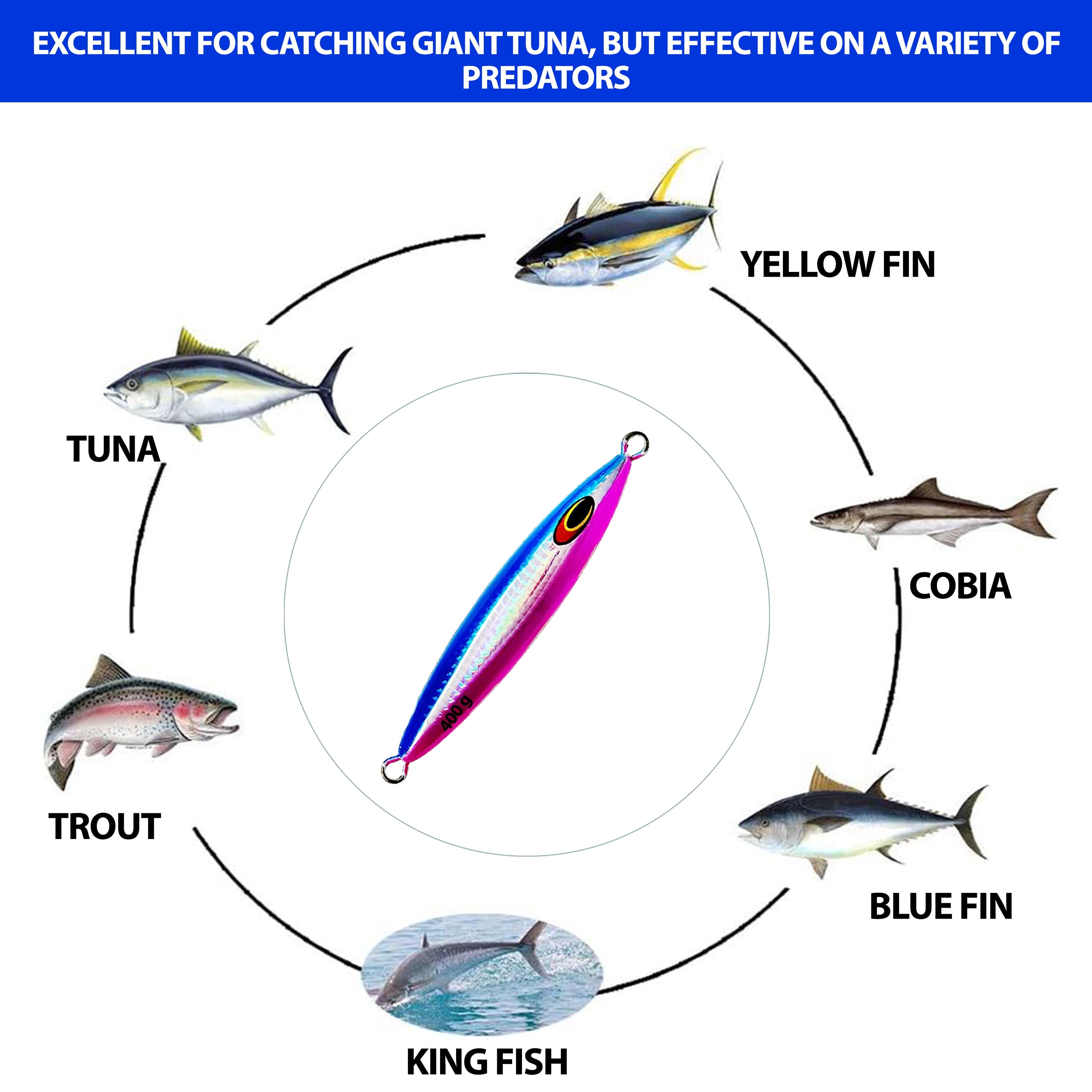 6" Tuna Jig 400g,3 Pcs Blue Pink Zebra Glow Saltwater Fishing Lures, Fishing Gear & Tackle, Tuna Fishing Jig