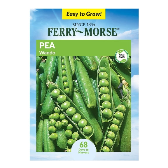 Ferry-Morse 12G Pea Wando Annual Vegetable Seeds, Full Sun