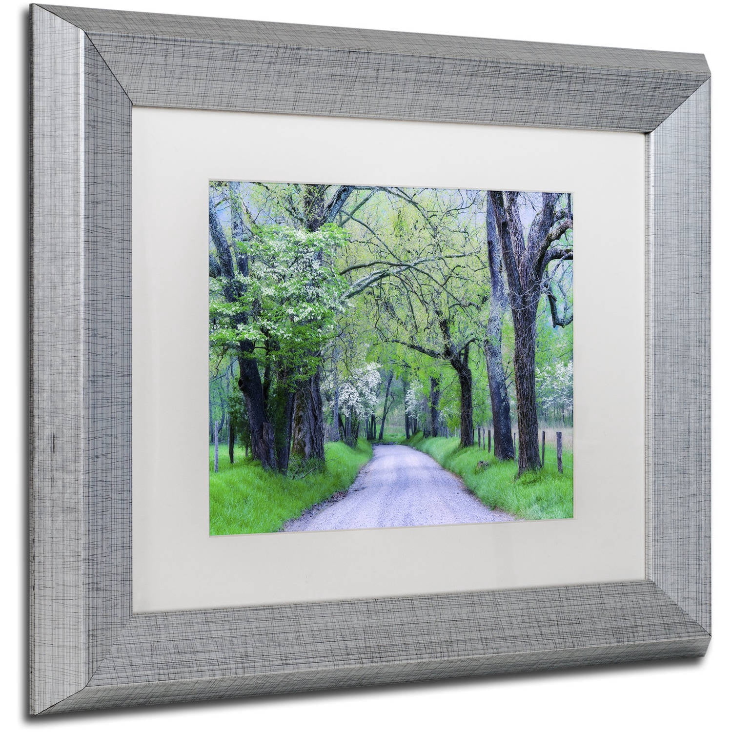 Trademark Fine Art "Cades Cove Lane" Canvas Art by Michael Blanchette Photography White Matte, Silver Frame