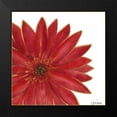 thumbnail image 2 of Vess, June Erica 12x12 Black Modern Framed Museum Art Print Titled - Bright Blossoms II, 2 of 5