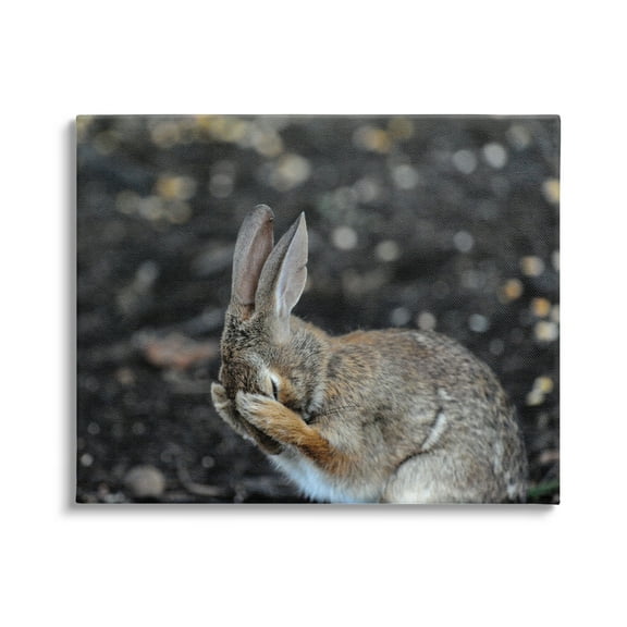 Stupell Industries Embarrassed Rabbit Photograph Animals & Insects Photography Gallery Wrapped Canvas Art Print Wall Art, 20 x 16