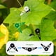thumbnail image 4 of Clips ajustables para entrenamiento para plantas pack de 60 – clips para tallos de jardín de bajo estrés, soporte ajustable 360°, plástico reutilizable, negro blanco verde, plegado de 3,2 cm, 4 of 8