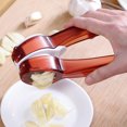 thumbnail image 2 of Garlic Multifunctional Manual Garlic Press Garlic Masher, 2 of 7