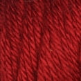 thumbnail image 2 of Caron Simply Soft Yarn, 3 Skeins, Gauge 4 Medium Worsted, 2 of 3
