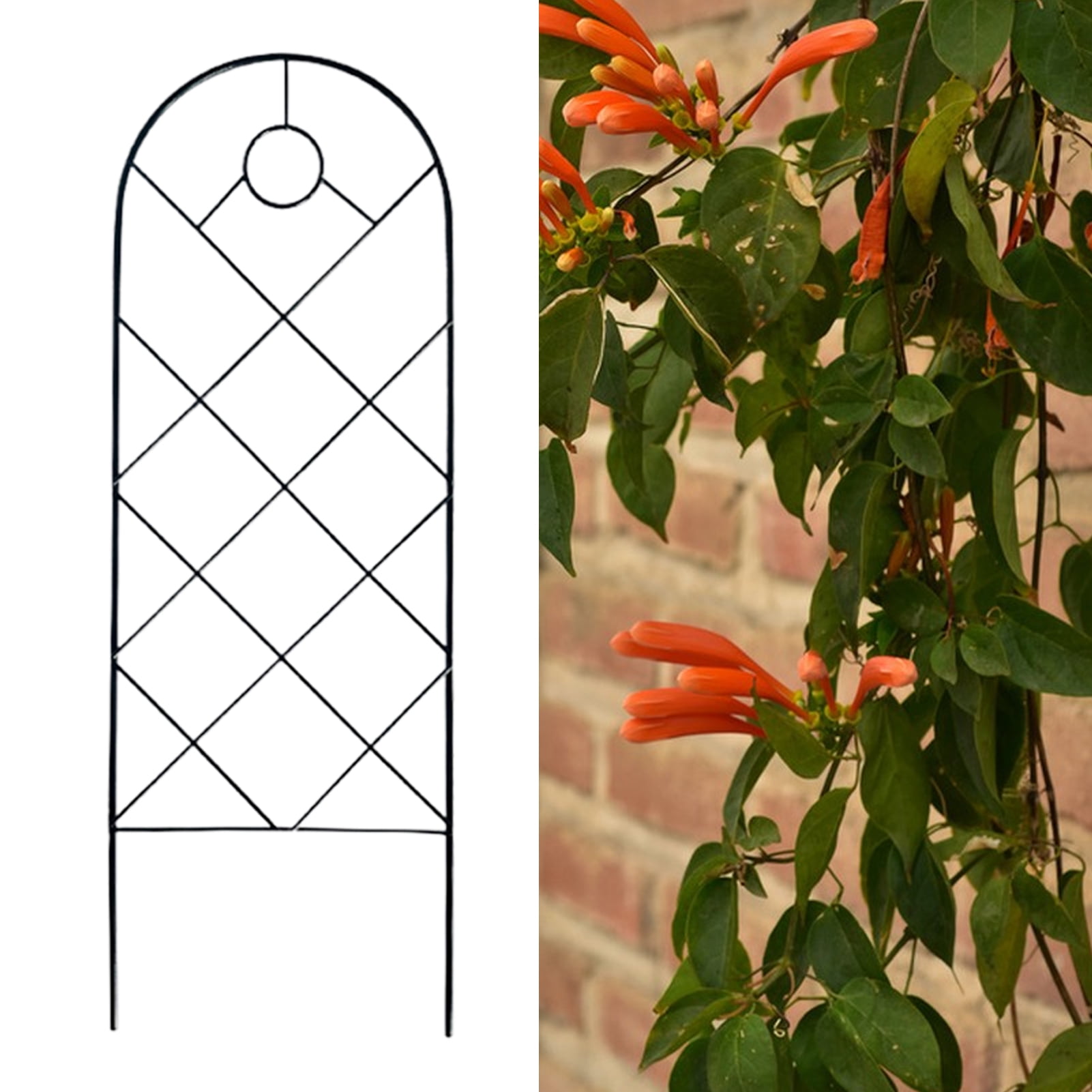 AYYUFE Plant Climbing Support Universal Weather Resistant Reusable Lightweight Climbing Plants H Potter Garden Trellis for Garden