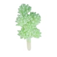 thumbnail image 2 of Artifical Plastic Succulent Plant Echeveria Flower Home Office Decor, 2 of 10