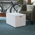 thumbnail image 3 of Household Essentials Large Woven Sturge Chest | Paper Rope | Arctic White, 3 of 5