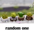 thumbnail image 3 of Planta de resina,Planta en miniatura,Artesanía de jardín de hadas,Micro paisaje manualidades de bricolaje,Favores de casa de muñecas en miniatura Macarena Planta de resina, 3 of 7