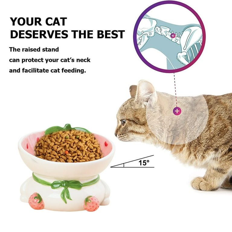 Ceramic Raised Cat Bowls Elevated Tilted Cat Food and Water Bowl