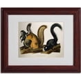 thumbnail image 3 of Trademark Fine Art "Fox Squirrel" Canvas Art by John James Audubon, Wood Frame, 3 of 3