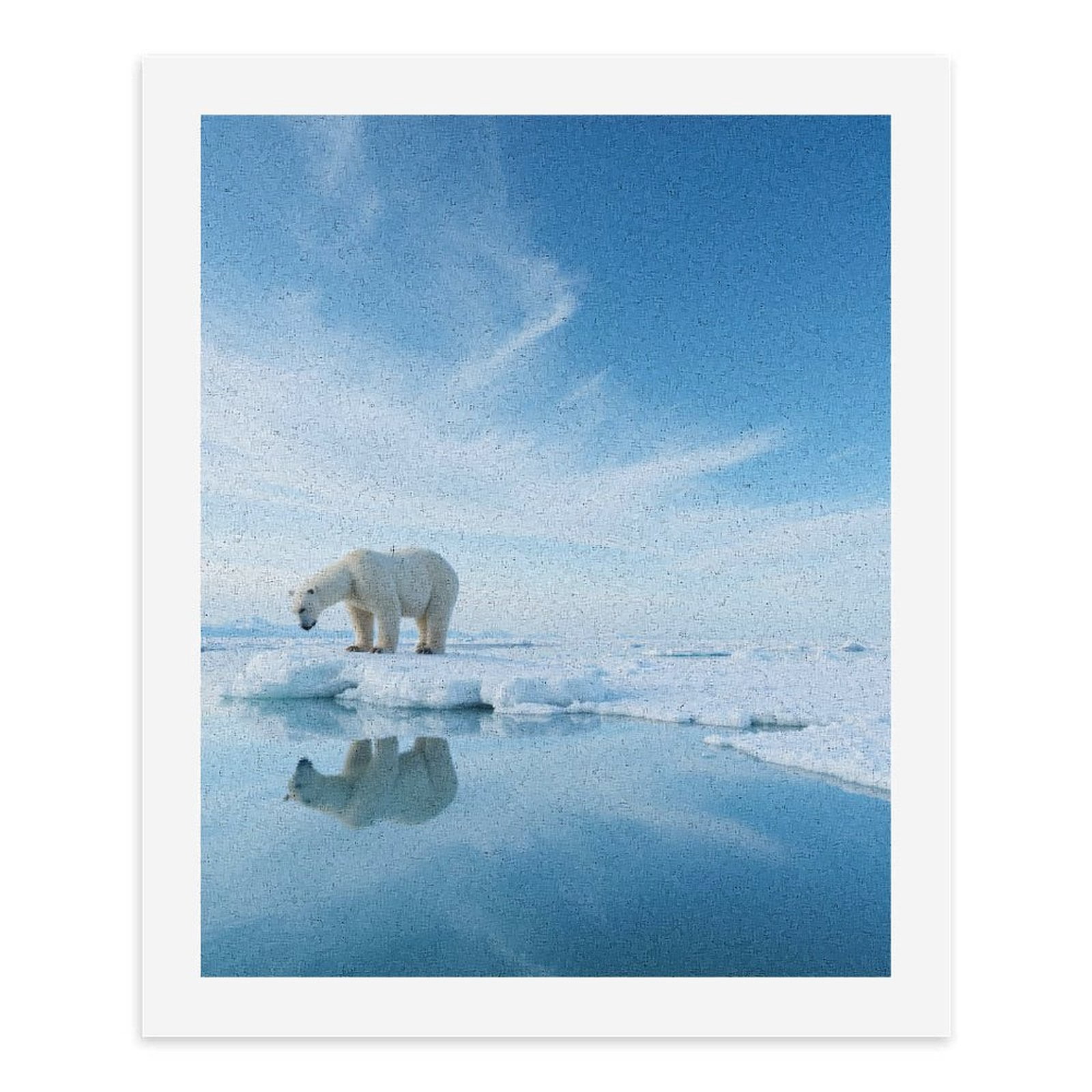 Paint by Numbers Kit for Adults, Polar Bear Ice Reflection Scene Paint by Numbers, Easy Paint by Numbers Kit for Adults Beginner, DIY Adult Paint by Number Kits on Canvas, Home Decor