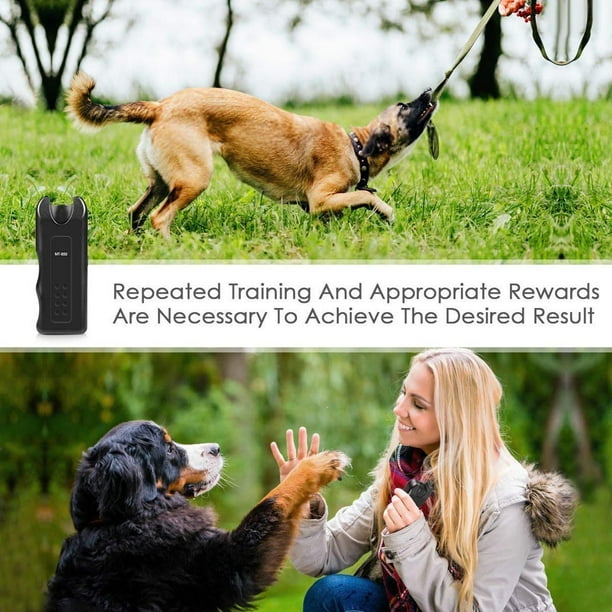 Dog clearance repellent walmart