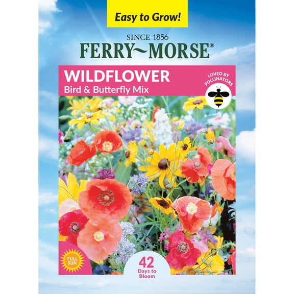 Ferry-Morse 2.8G Wildflower Bird and Butterfly Mixture Annual Flower Seeds, Full Sun