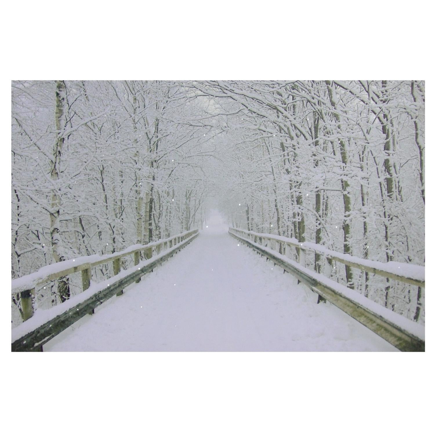 Large Fiber Optic Lighted Winter Wooden Bridge Canvas Wall Art 23 5 X 15 5 Walmart Canada