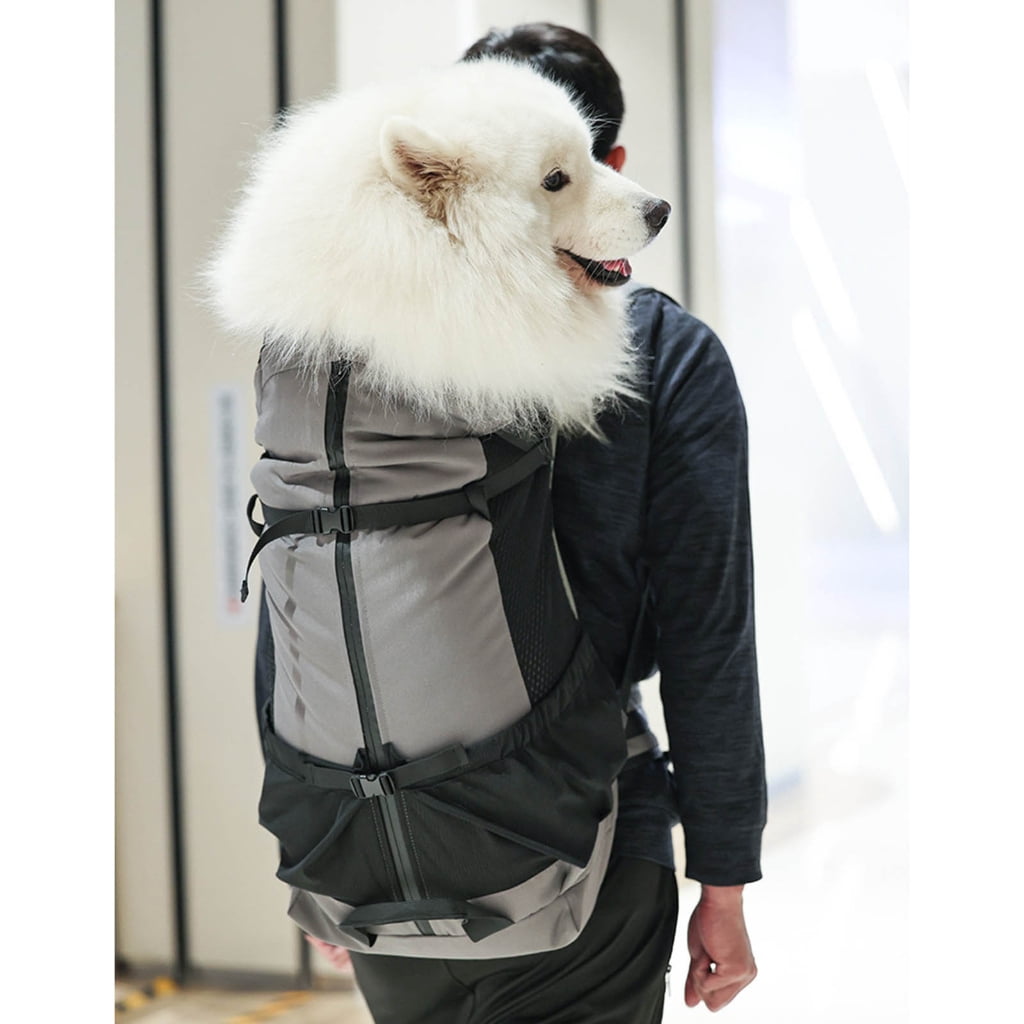 Water Dog Carrier Backpacks Durability Large Dog Carrying Bag for Other Outdoor Activity
