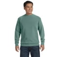 thumbnail image 1 of The Comfort Colors Adult Crewneck Sweatshirt - LIGHT GREEN - S, 1 of 1