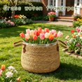 thumbnail image 7 of Woven Plant Basket Seagrass Planter Pot Cover with Handles,26x28cm Handmade Natural Straw Container for Indoor Potted Plants,Rustic Boho Decor for Living Room Office Home Garden, 7 of 7