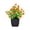 🔥 Red_Base#2915, variant on Artificial Bonsai Plant in Black Pot Plastic Decorative Desktop Greenery for Home Office Windowsill Shelf Long Lasting No Maintenance