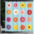 thumbnail image 4 of Ambesonne Gerber Daisy Shower Curtain, Blooms Flowers, 69"Wx84"L, Pale Blue Multicolor, 4 of 5