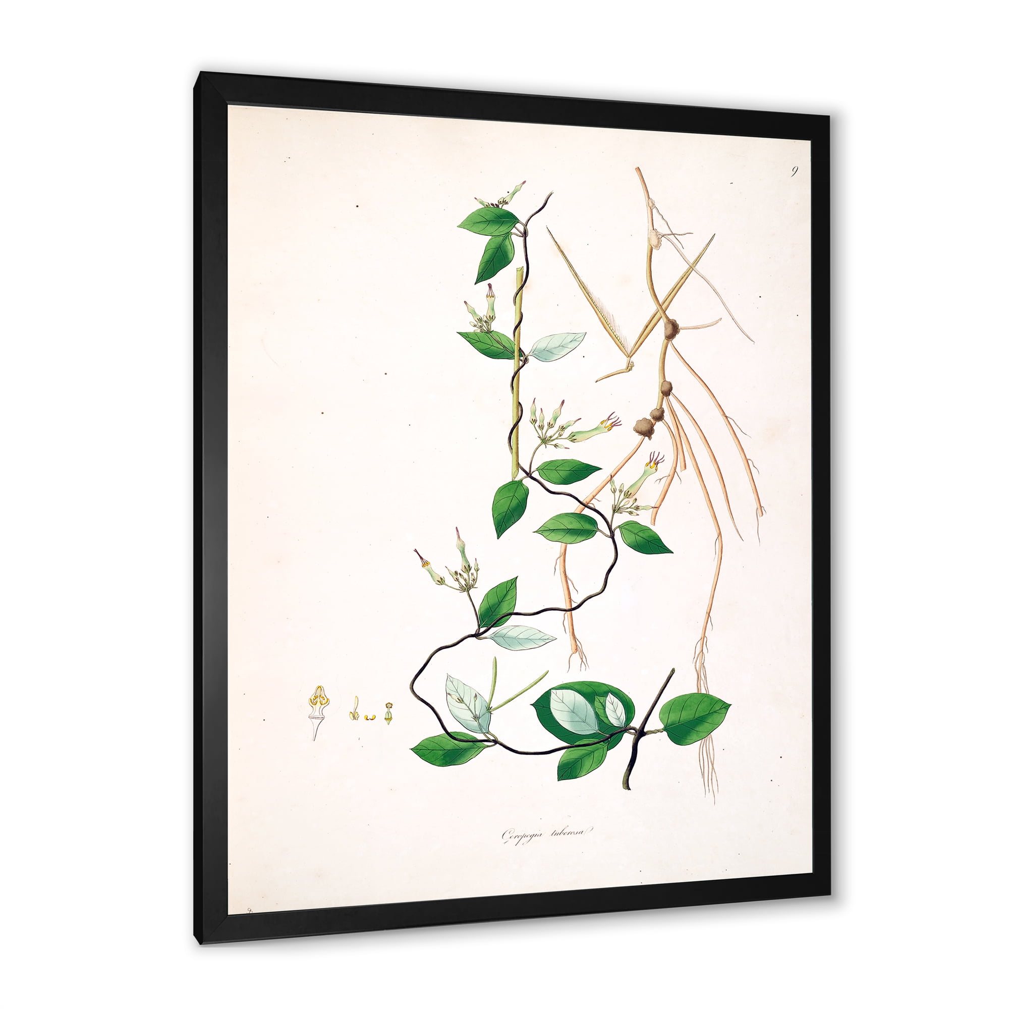 Designart 'Ancient London Plants IV' Farmhouse Framed Art Print