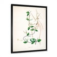 thumbnail image 2 of Designart 'Ancient London Plants IV' Farmhouse Framed Art Print, 2 of 4