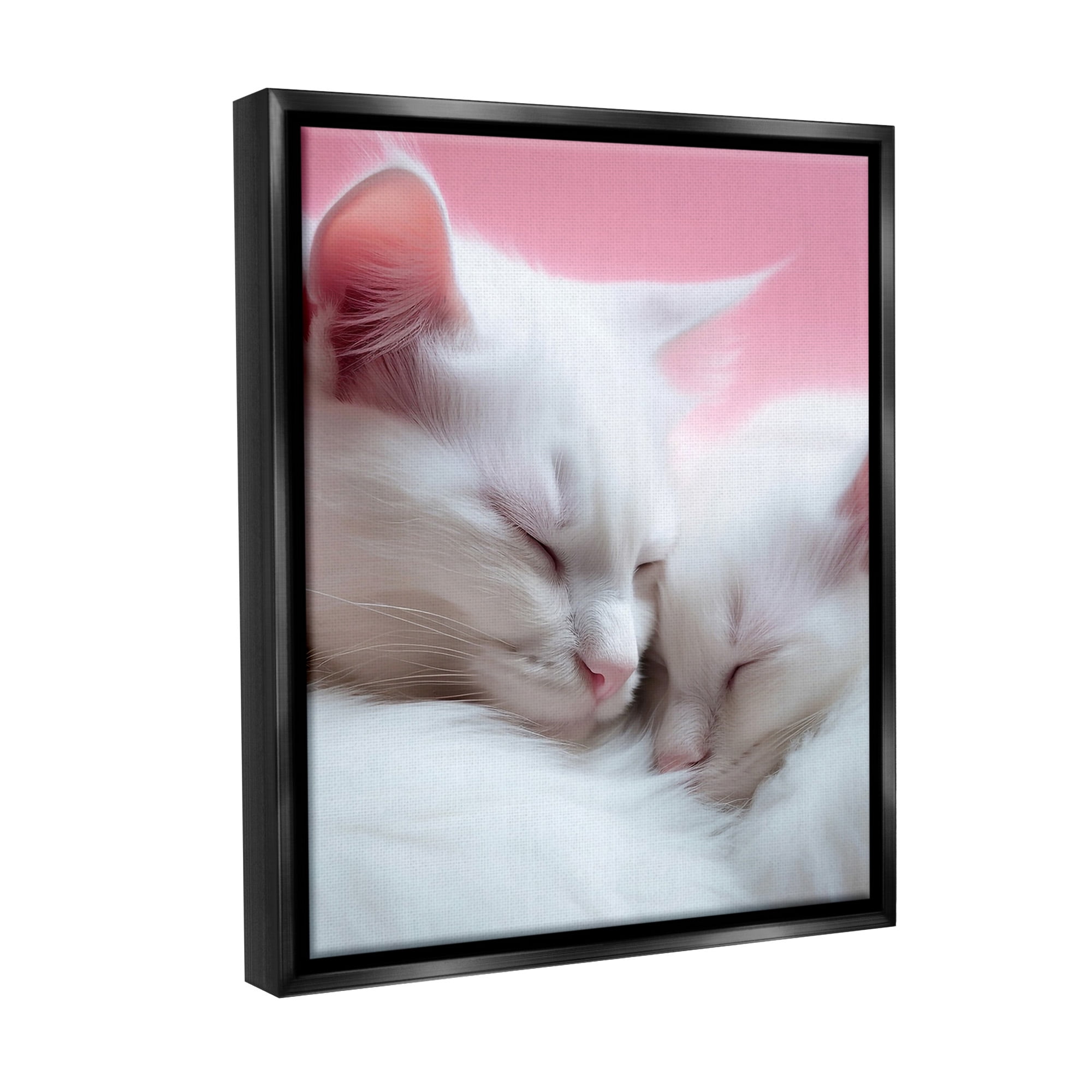 Stupell Industries Sleeping Cats on Pink Animals & Insects Painting Black Floater Framed Canvas Art Print Wall Art, 17 x 21