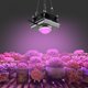 thumbnail image 5 of 120W LED crece la luz de espectro completo de invernadero verduras frutas plantas lámpara (US 110V), 5 of 6
