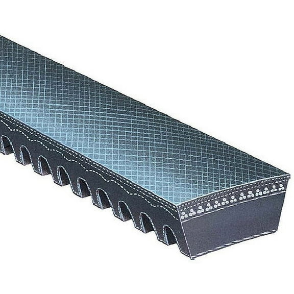 Gates 5503 Refrigeration Belt