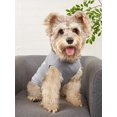 thumbnail image 5 of Summer Cool And Breathable Teddy, Pomeranian, Small Dog, Cat Pet Vest, Fashionable Design, 5 of 5