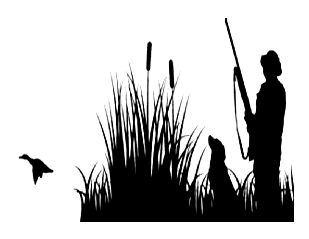 duck hunting silhouette