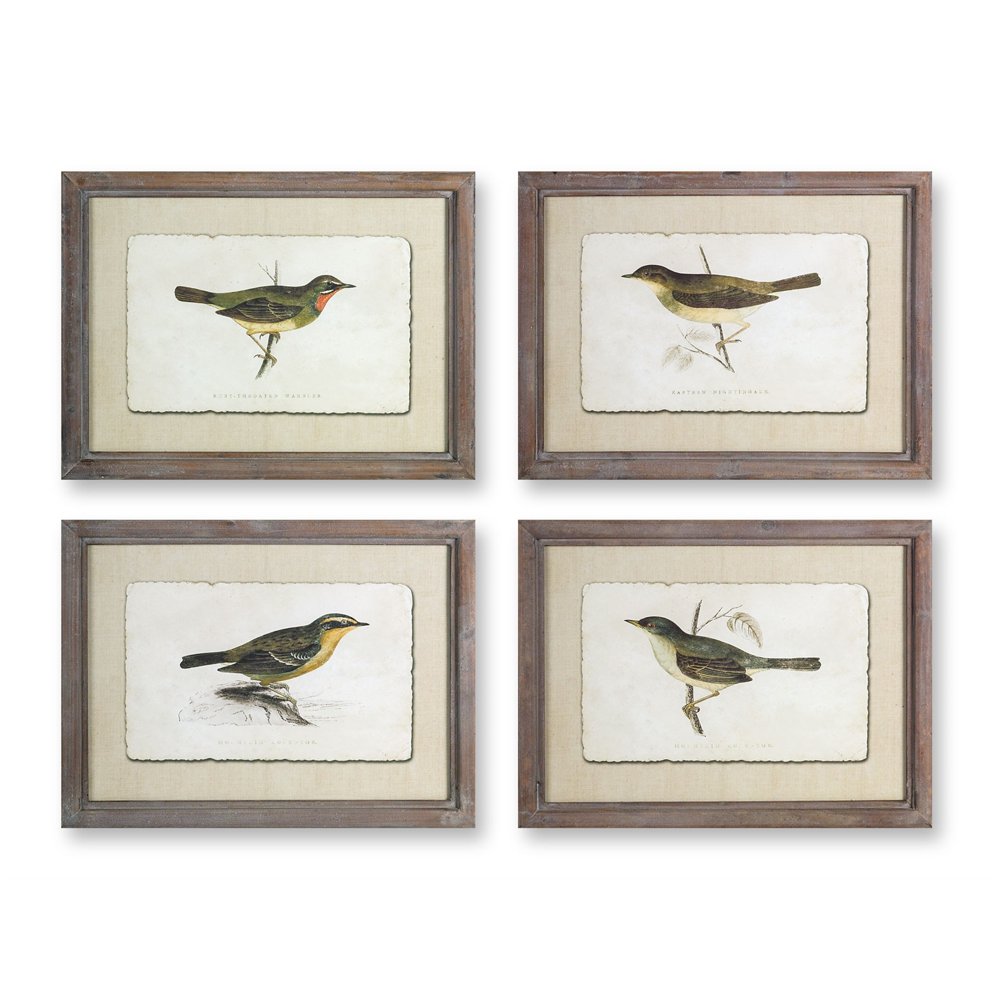Set of 4 Framed Bird Print Wall Decorations 17.75"